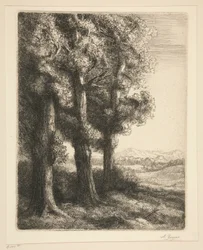 esquina de