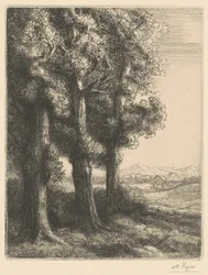 Corner of a Wood (Un rincón del bosque)