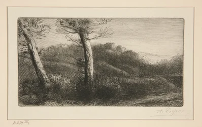 Puesta de sol
