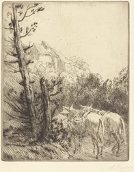 Granja en la ladera