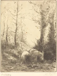 El granjero y su burro
