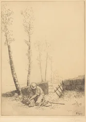 El hallazgo de la oveja