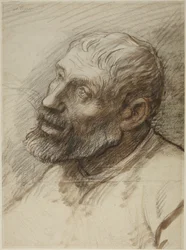 Cabeza de un hombre con barba