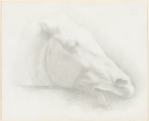 Cabeza de un Caballo del Partenón