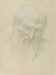 Cabeza de un Hombre con Cabello Rizado y Barba