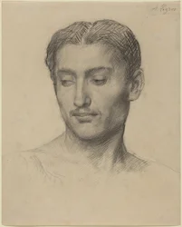 Cabeza de un hombre joven