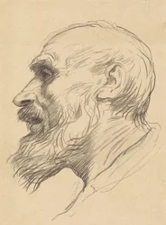 Cabeza de un anciano
