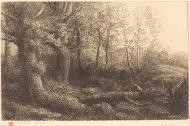 En el bosque Lisiere de foret