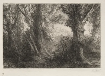 En el bosque de Conteville