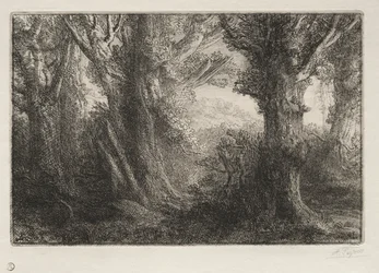En el bosque de Conteville