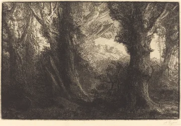 En el bosque de Conteville