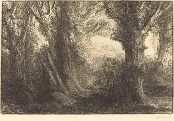 En el Bosque de Conteville