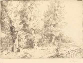 En el Bosque de Fontainebleau