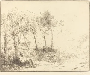 Paisaje