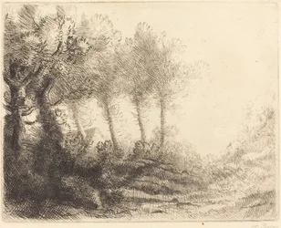 Paisaje