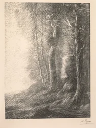 Paisaje