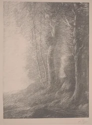 Paisaje
