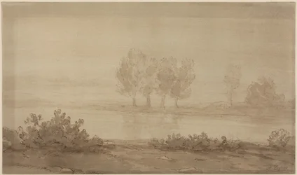 Paisaje - cuatro árboles al otro lado de un río