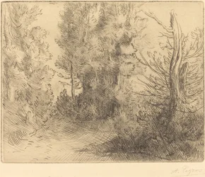 Paisaje: Cerca de Chailleux