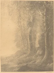 Paisaje