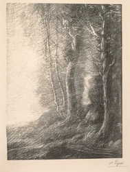 Paisaje
