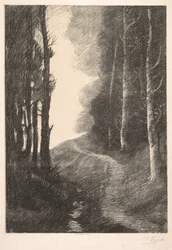 Paisaje en Bouleaux