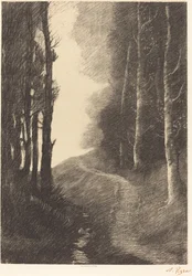 Paisaje con abedules