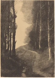 Paisaje con abedules