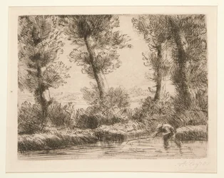 Les bords de la Liane (Las orillas del Liane)