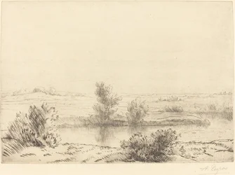 Pantano