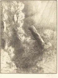 Recuerdos de Fontainebleau en la lluvia
