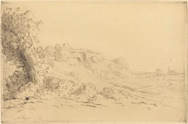 Mi granja