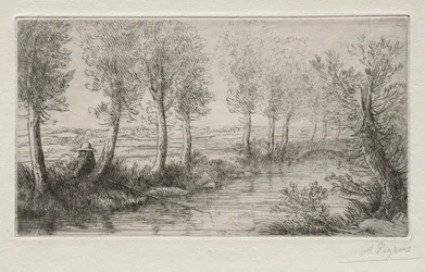 Cerca del molino