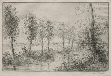 Cerca del molino