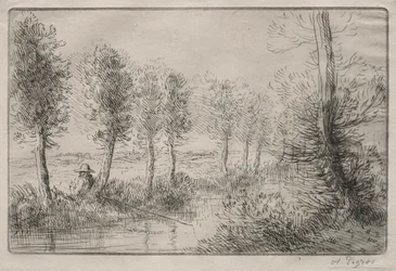Cerca del molino