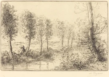 Cerca del molino