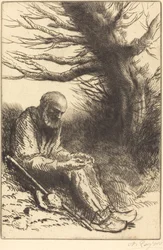 Viejo hombre, viejo árbol