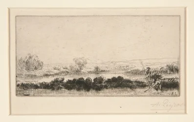 Paisaje de turberas: en el pantano