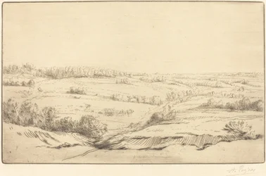 La llanura