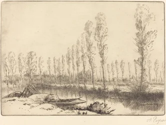 Álamos cerca de Amiens