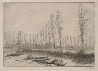Cerca de Amiens, las turberas