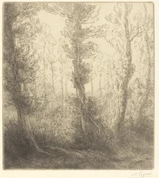 Pequeño lago (Le petit lac)