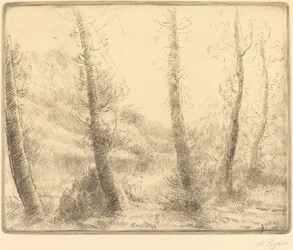 Pequeño lago