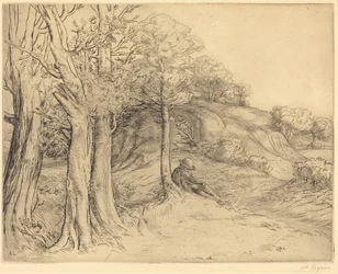 Soledad (Paisaje)