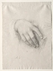 Estudio de Manos