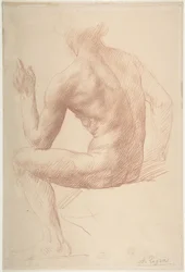 Estudio de figura