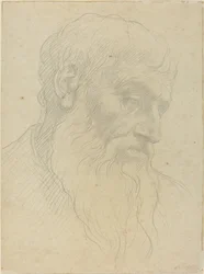 Estudio de una cabeza