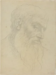 Estudio de una cabeza