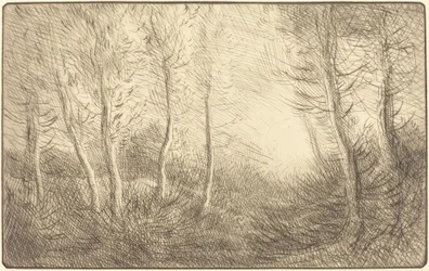 Amanecer, bosques de Clamard