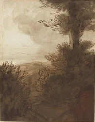 El Gran Árbol
